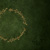 The Fellowship of the Ring